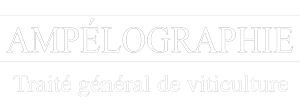 ampelographie